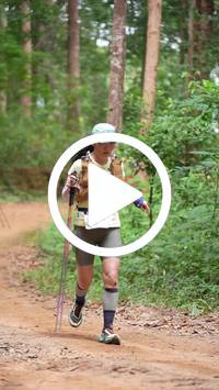 BIB:  <button type="button" onclick="openModal(26816843)" class="btn btn-primary btn-sm float-right" data-toggle="modal" data-target=".modal-high-quality">
                <i class="fa fa-download"></i> Download
                </button>